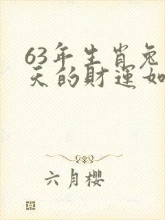 63年生肖兔今天的财运如何
