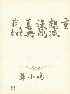 我真没想重生啊txt无删减
