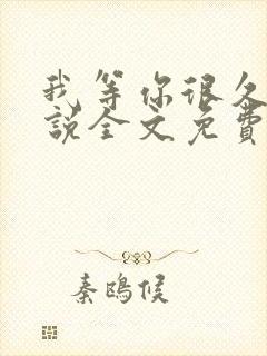 我等你很久了小说全文免费阅读