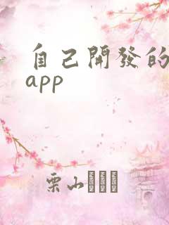 自己开发的聊天app