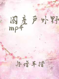 国产户外野战 mp4