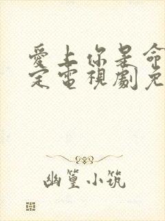 爱上你是命中注定电视剧免费播放
