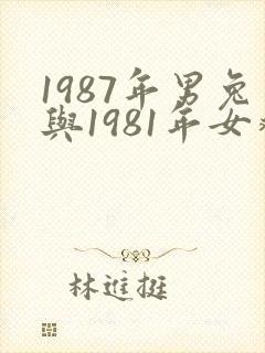 1987年男兔与1981年女鸡