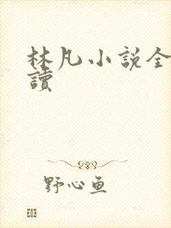 林凡小说全文阅读