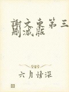 谢文东第三季无删减版