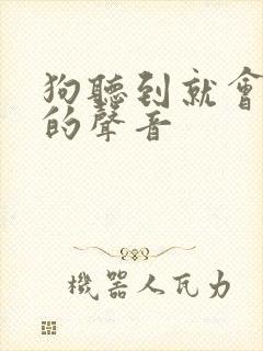 狗听到就会过来的声音