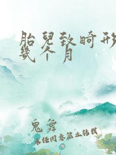 胎儿致畸形是哪几个月