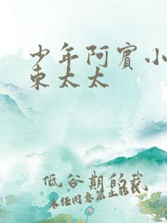 少年阿宾小说房东太太