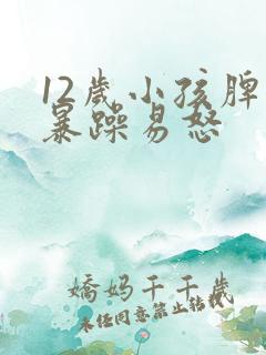 12岁小孩脾气暴躁易怒