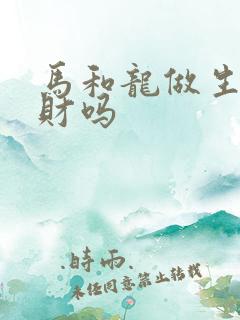 马和龙做生意合财吗