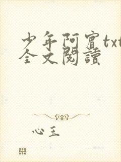 少年阿宾txt全文阅读
