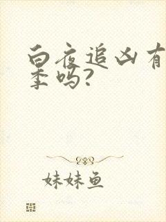 白夜追凶有第二季吗?