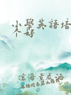 小学英语培训哪个好
