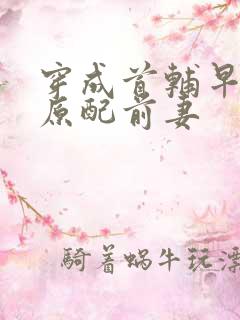 穿成首辅早逝的原配前妻