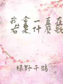 我会一直在你左右是什么歌