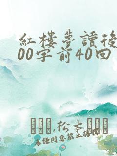 红楼梦读后感800字前40回
