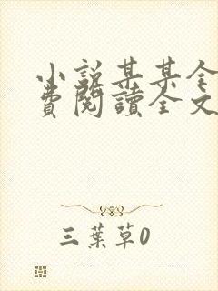 小说某某全文免费阅读全文
