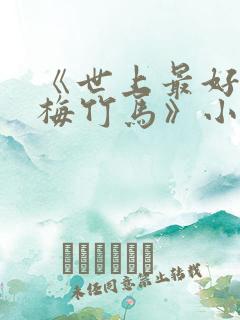 《世上最好的青梅竹马》小说