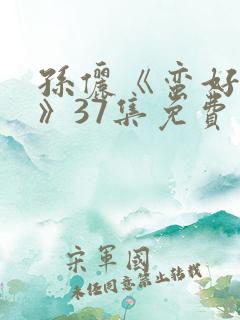 孙俪《蛮好人生》37集免费观看