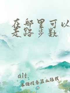 在哪里可以看到走路步数