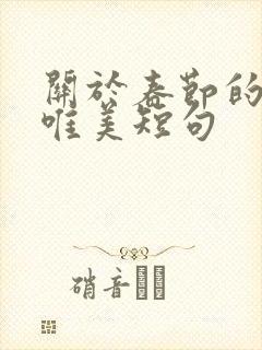 关于春节的句子唯美短句