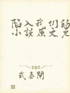陷入我们的热恋小说原文免费阅读