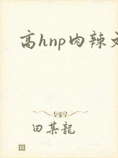 高hnp肉辣文