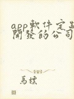 app软件定制开发的公司哪家好