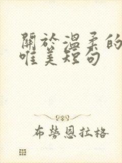 关于温柔的句子唯美短句