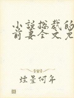 小说总裁的替身前妻全文免费阅读