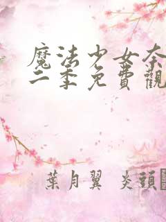 魔法少女奈叶第二季免费观看全集