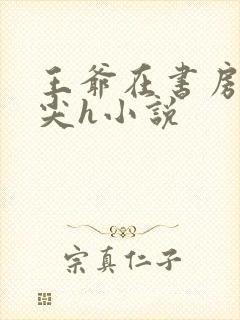 王爷在书房含乳尖h小说