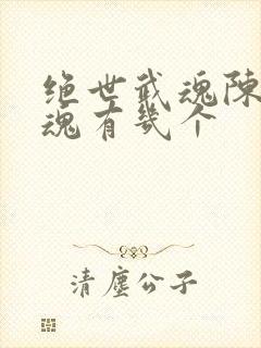 绝世武魂陈枫武魂有几个