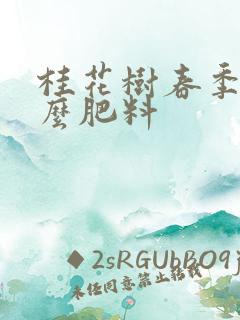 桂花树春季施什么肥料