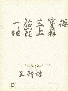 一胎三宝总裁爹地宠上瘾