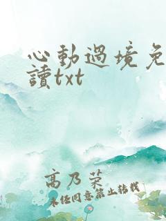 心动过境免费阅读txt