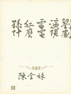 孙红雷演刘华强什么电视剧