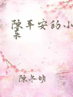陈平安的小说剑来
