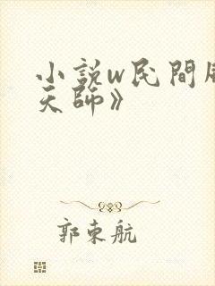 小说w民间风水天师》