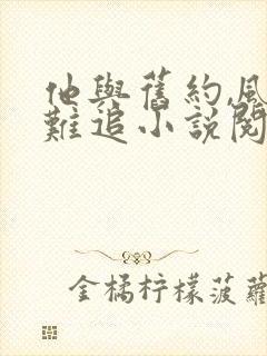 他与旧约,风月难追小说阅读
