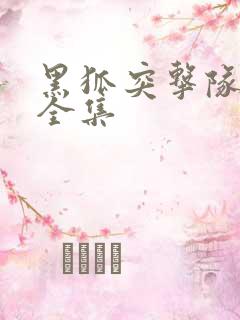 黑狐突击队免费全集