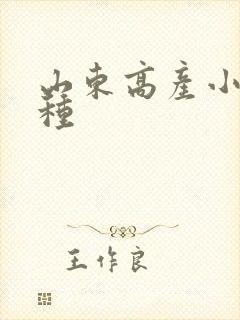 山东高产小麦品种