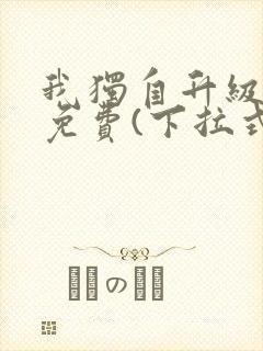 我独自升级漫画免费(下拉式)