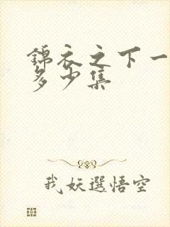锦衣之下一共有多少集