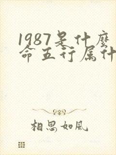 1987是什么命五行属什么命
