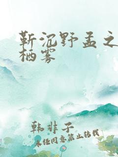靳沉野孟之瑶唐栖雾