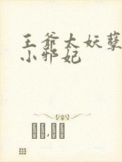 王爷太妖孽独宠小邪妃