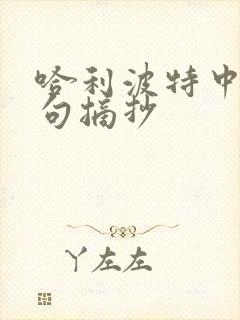 哈利波特中的好句摘抄