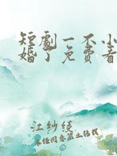 短剧一不小心闪婚了免费看