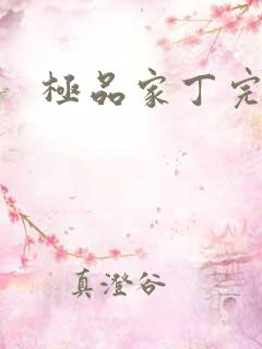 极品家丁完结版
